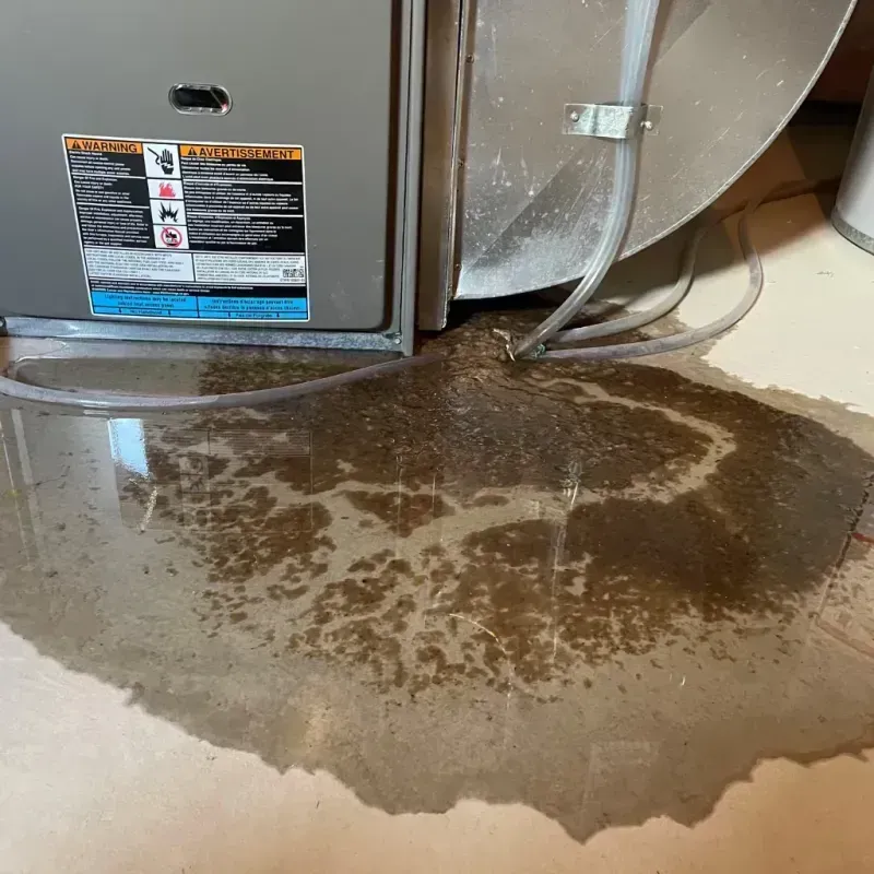 Appliance Leak Cleanup in Labette County, KS